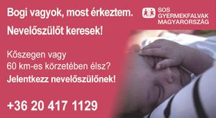 Jelentkezz most! 06-70/415-9021 (JOBmotive Kft.) Gyakorlattal rendelkező gépkocsivezetőket keresek,,b jogosítvánnyal, külföldre történő áruszállításra.