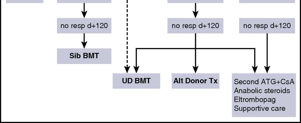 aplastic anemia.