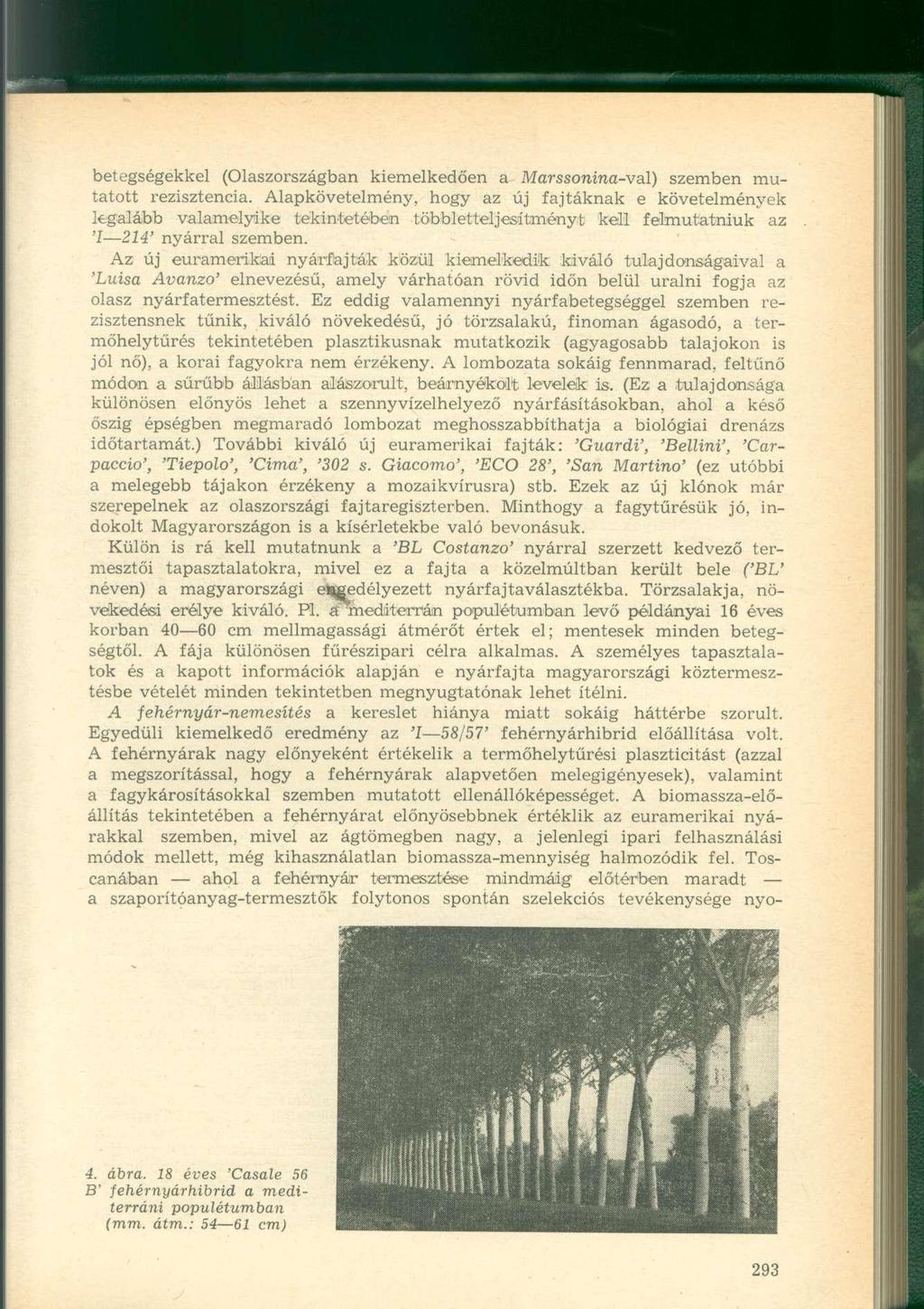 betegségekkel (Olaszországban kiemelkedően a Marssonina-val) szemben mutatott rezisztencia.