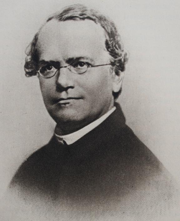 Gregor Johann Mendel (1822 1884) Az öröklött tulajdonságok nem változnak meg generációnként, hanem szaporodási ciklusonként újra és újra kiválogatódnak 1 Vörösvérsejten megjelenő vércsoport