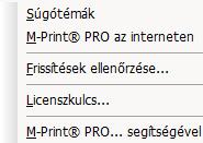 Súgó menü Súgótémák Ezzel a menüponttal online-súgóba juthat. Program az interneten Ezzel a menüponttal alapértelmezett internet-böngészőjében a program weboldala nyílik meg. Frissítések ellenőrzése.