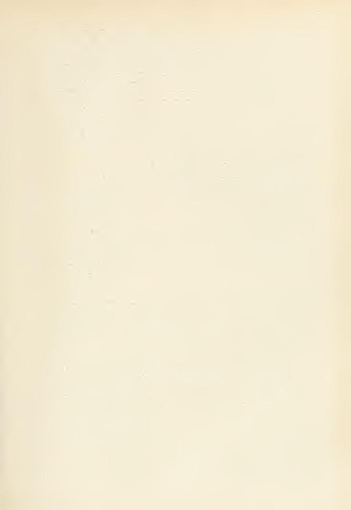 S 163