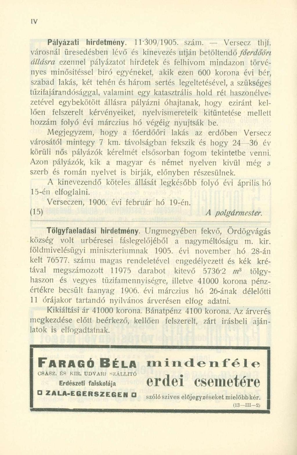 Pályázati hirdetmény. 11-309/1905. szám. Versecz thjf.