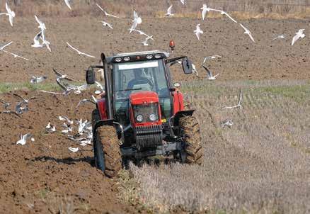 hu Scientific Journal on Agricultural Economics a tartalomból Egyéni gazdaságokban dolgozó, nem fizetett munkaerő képzettsége