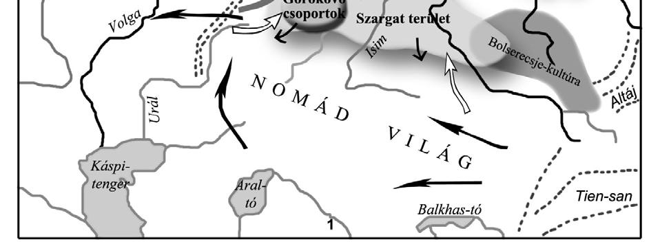 a Q-haplocsoport is elenyésző a honfoglalóknál, s inkább anyai génjeikben voltak ázsiaiak ).