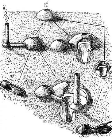 A belső körútra, térre nyíló, 100-250 m 2 -es házakban, melyek alapjait 20-30 cm mélyen a talajba vágták, konyhák, hálókamrák, műhelyek, tárolóhelységek, kutak és kemencék voltak.