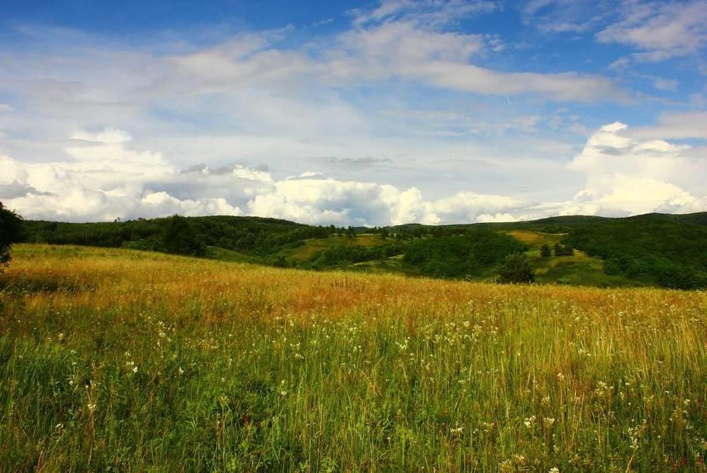 jelentőségű