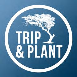 Trip & Plant helps you to calculate the caused emission of your trip and helps you to donate