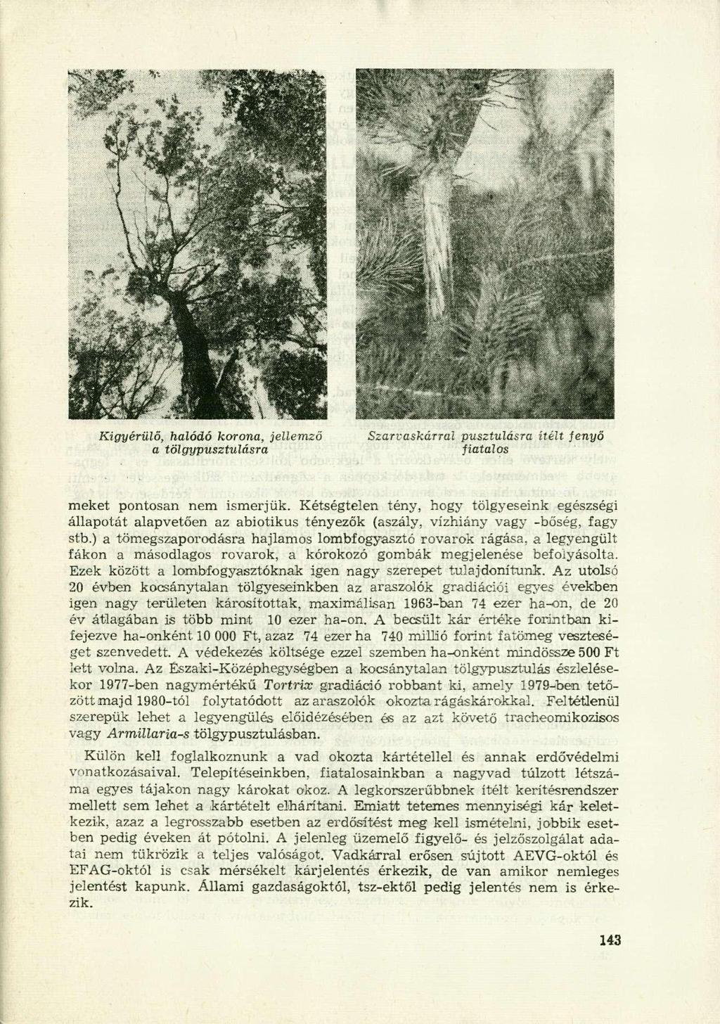 Kigyérülő, halódó korona, jellemző a tölgypusztulásra Szarvaskárral pusztulásra ítélt fenyő fiatalos meket pontosan nem ismerjük.