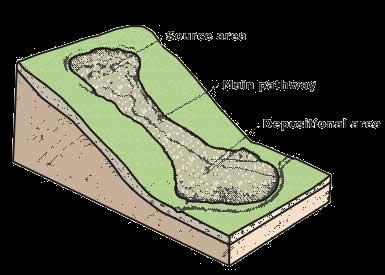 Nyírási
