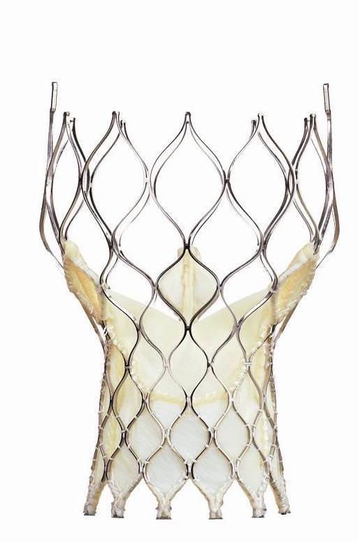 Medtronic CoreValve Evolut CoreValve Evolut visszavehető Optimalizált radialis erő Jobb