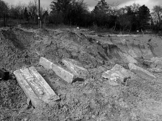 1. kép: Római kori kőemlékek a Rupp-hegy oldalában Fig. 1: Roman period stone monuments on the side of Rupp-hegy désben.