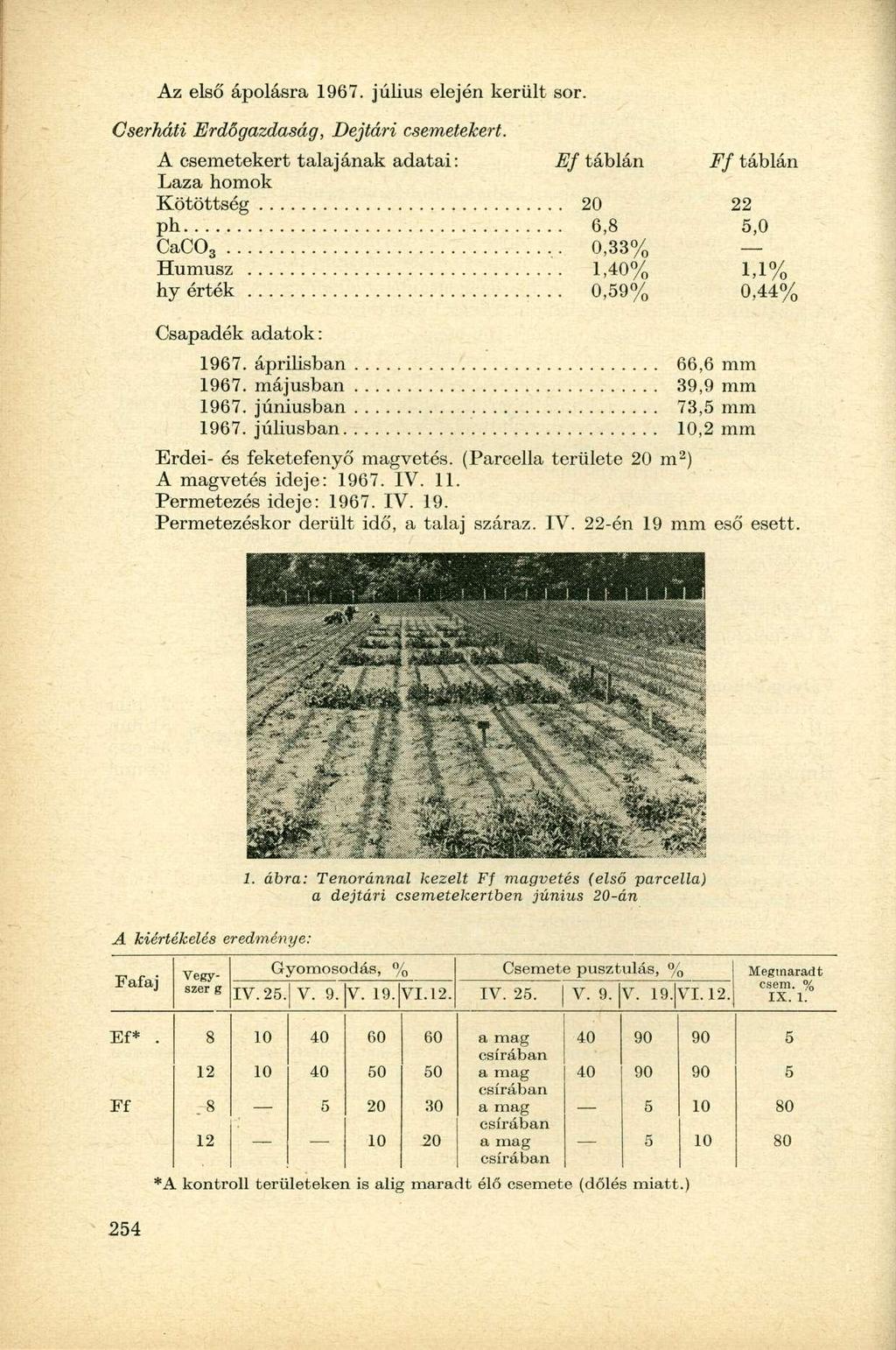 Az első ápolásra 1967. július elején került sor. Cserháti Erdőgazdaság, Dejtári csemetekert.