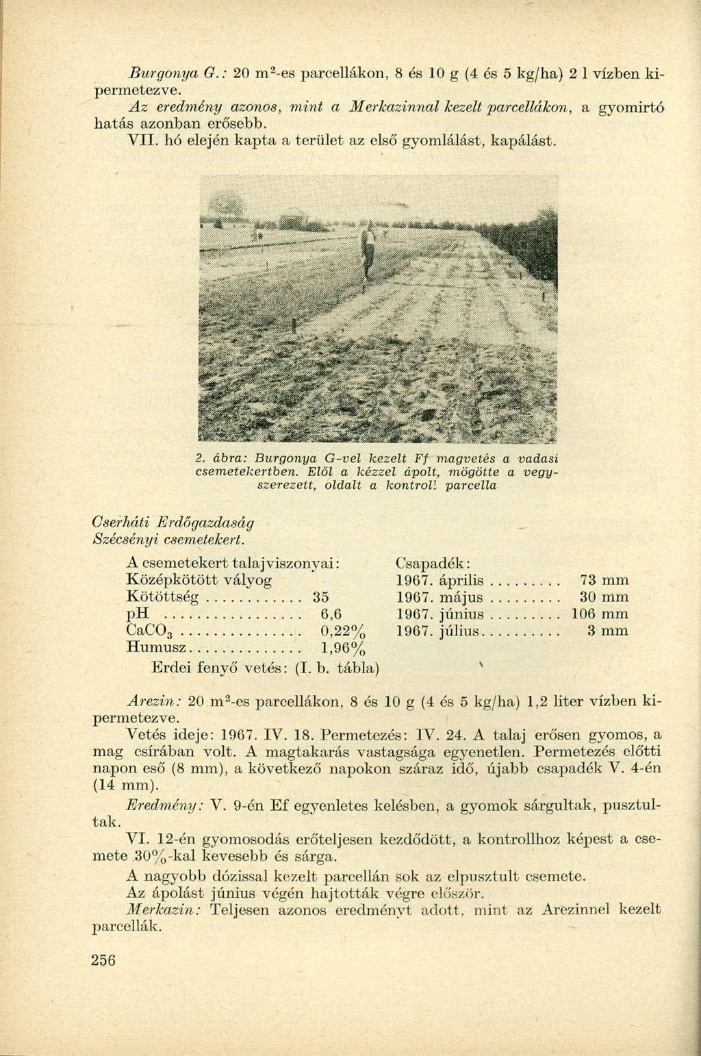 Burgonya G.: m 2 -es parcellákon, 8 és g (4 és 5 kg/ha) 2 1 vízben kipermetezve. Az eredmény azonos, mint a Merkazinnal kezelt parcellákon, a gyomirtó hatás azonban erősebb. VII.