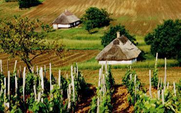Magyarország teljes növényvédőszer-felhasználása modellezhető legyen, a meghatározó növénykultúrák (őszi búza, kukorica, napraforgó, repce, szőlő, alma) vonatkozásában.