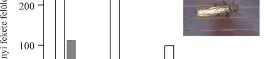 ábra). 3.5.