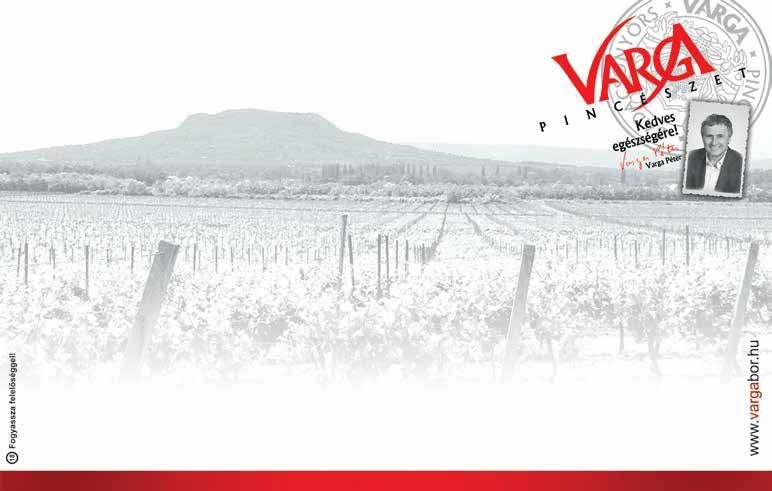 ITAL VARGA ZWEIGELT CABERNET SAUVIGNON félédes vörösbor SZÜRKEBARÁT