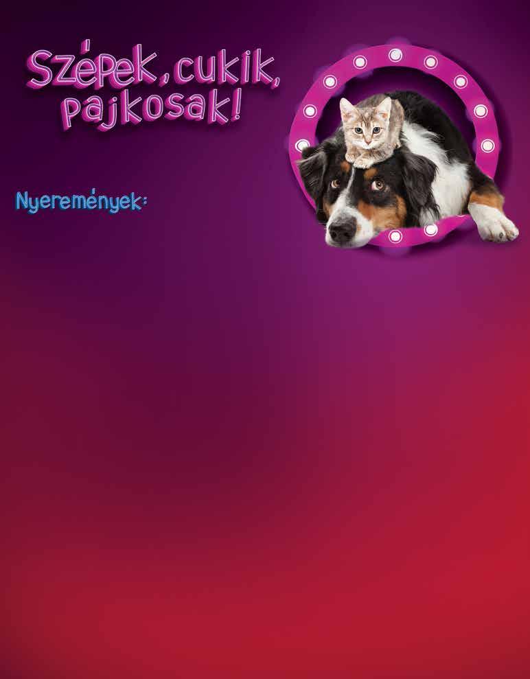 ÁLLATELEDEL minőség.
