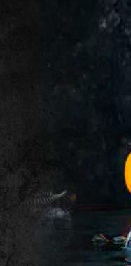 l (6.284 /1 l) 799 12% 699 999 20% 799 APEROL 0,7
