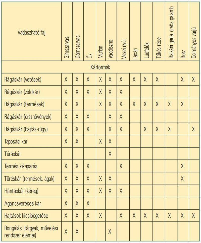 A statisztikai alapú becsléseknél ezért alapkövetelmény, hogy a mintavétel biztosítsa a reprezentativitást, amire három lehetőség kínálkozik: véletlen mintavétel, szisztematikus (tervszerű)