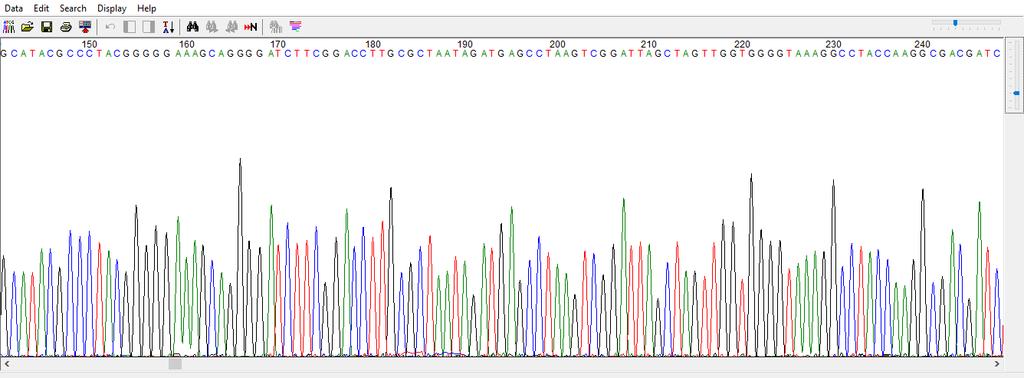 Kapilláris gélelektroforézis A szekvenáló reakció előkészített termékét ABI Prism 3130 Genetic Analyzer (Applied Biosystems, USA) készülék segítségével vizsgáltuk a nukleotid sorrend megállapítása