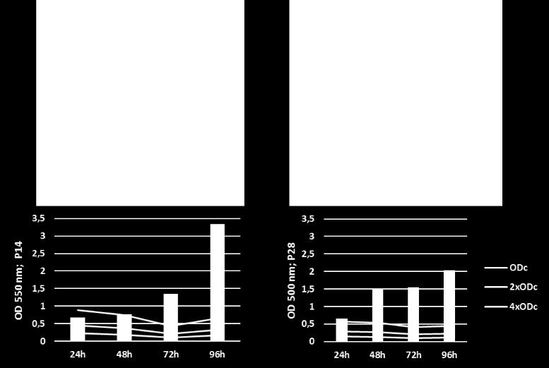 módszer és a konfokális lézer pásztázó mikroszkóp között A két módszer eredményeit statisztikailag is összehasonlítottam a GraphPad Prism (v.7.