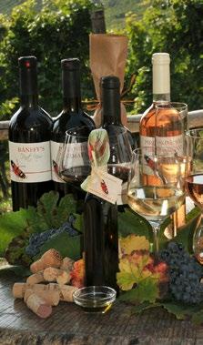 Blanc (2018) félédes Kindermacher (2018) fehér - félédes + kiegészítés: 2 perec és 0,5 l szénsavas vagy mentes ásványvíz ÉDESEBB Sauvignon Blanc (2018) félédes Kindermacher (2018) fehér - félédes
