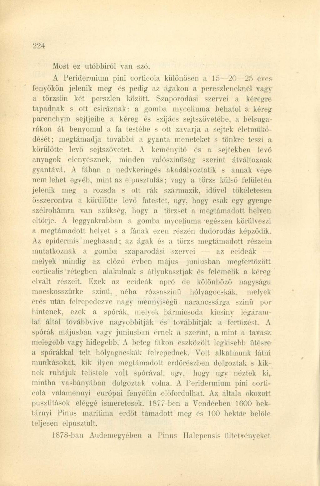 Most ez utóbbiról van szó. A Peridermium pini corticola különösen a 15 20 25 éves fenyőkön jelenik meg és pedig az ágakon a pereszleneknél vagy a törzsön két perszlen között.