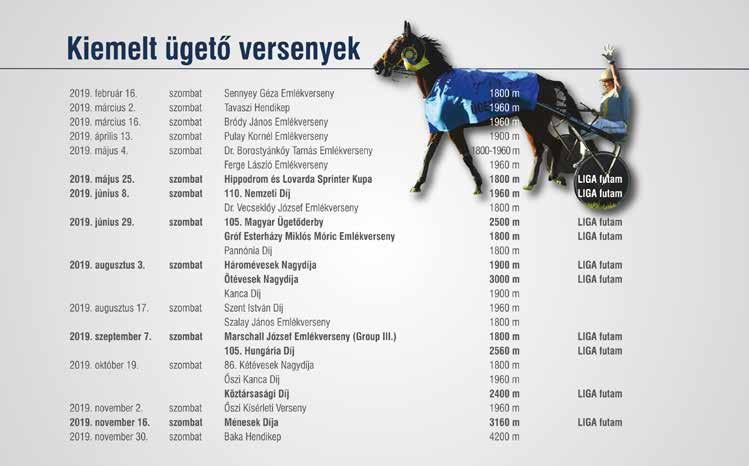 10 Pozsony 1800 m Csordás Emil (31,4-4) (Kék, sárga váll és szegély) 10 pk Wall Street Banker - Eperjes / Witsend's Speedy Várhidi Róbert Istálló: Primusz i. 17.6-720000 Ft Élet stat.