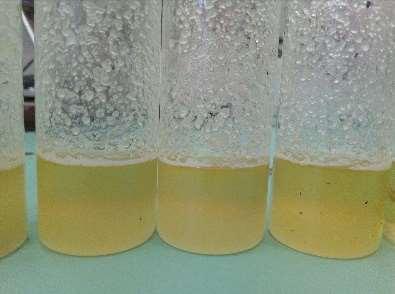 ACTUALITY Heat treatment of honey The reason: