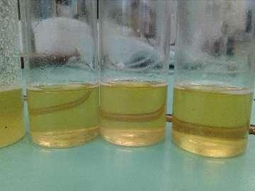 Consequences changes in honey