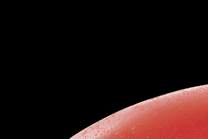 ÉTLAP Előételek Puszedlis kacsamell vörösáfonyás káposztás rétessel 1, 7, 12 Tatár beef steak, lilahagymasalátával 1, 10 1. 2.