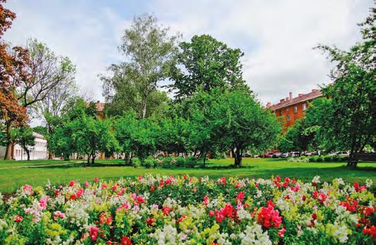 TÉRSÉGE 2019. 07. 01. V.