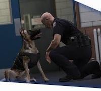 A Los Santos Police Department civil személyektől és tenyésztőktől is vesznek kutyákat, amelyeket hosszú időn át képeznek ki, különböző célokra.