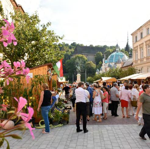 Ennek keretében a látogatók megismerkedhettek az őshonos