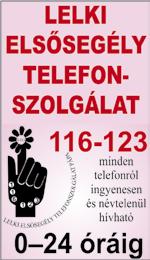 ) Pápai kereskedelmi telephelyre targoncázási gyakorlattal rendelkező árukiadó raktárost felveszünk 1 műszakba. Érdeklődni a 06/30/520-4405- ös telefonszámon lehet, munkaidőben. Perint Kft.