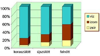 1 ábra: A szervezet víz, izom, zsír tartalma életkorok szerint Forrás: Tárki 2016.