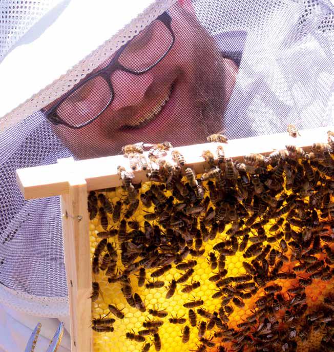 A MEVA sokféle szociális és társadalmi kezdeményezést támogat, mint például a Ifjú kutatók mozgalmat vagy a nagoldi Sérültek és egészségesek