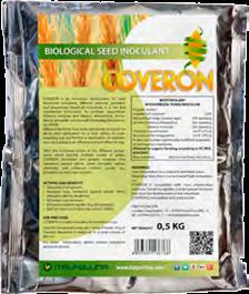 A TEAM SEEED DRESSING mikorrhiza és trichoderma oltóanyag szárazon történő felhasználásra, vetés előtt bekeverve, vagy akár közvetlenül a vetőmagtartályban vetés előtt hozzáadva.