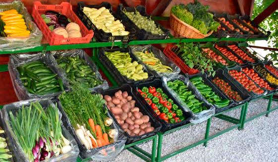 2 3 Aminoret s z e r m a r a d é k m e n t e s t e c h n o l ó g i a ÖSSZHANGBAN A TERMÉSZETTEL www.hortiservice.