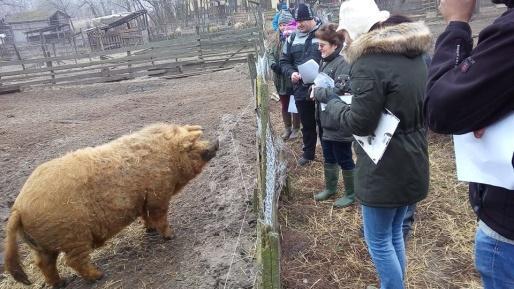 ott helyben, kérdéseikkel színesítve