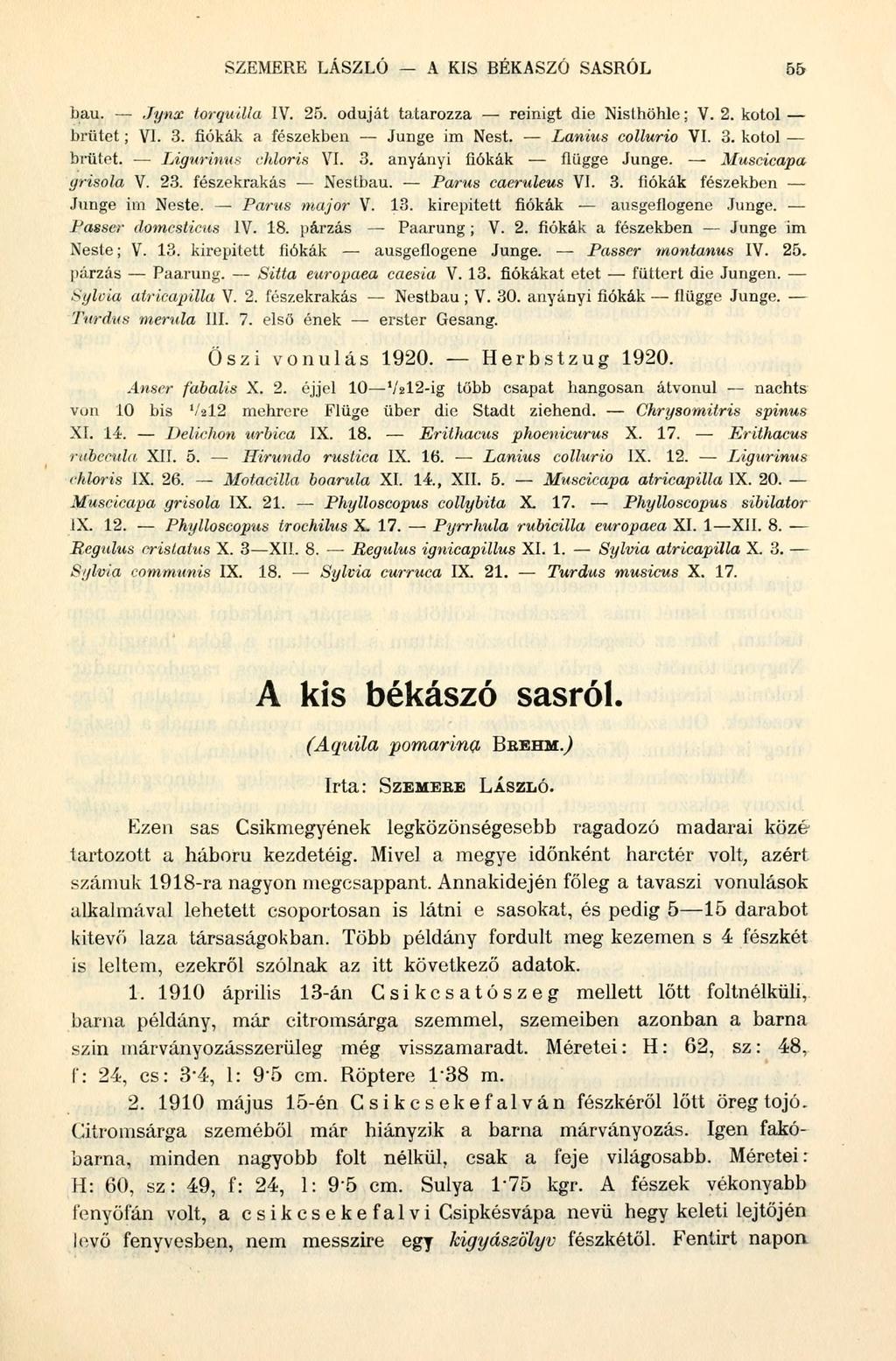 SZEMERE LÁSZLÓ A KIS BÉKASZÓ SASRÓL 55 bau. Jynx torquilla IV. 25. odúját tatarozza reinigt die Nislhöhle; V. 2. kotol brütet; VI. 3. fiókák a fészekben Junge im Nest. Lanius collurio VI. 3. kotol brütet. Ligurinus chloris VI.