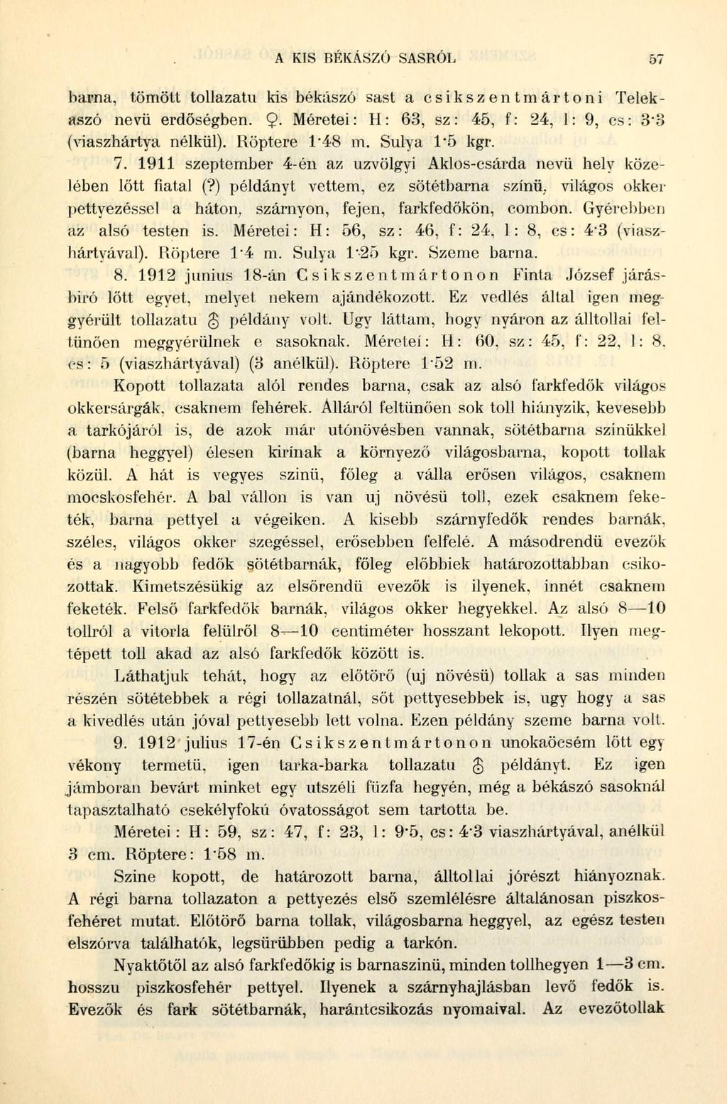 A KIS BÉKÁSZÓ SASRÓL 57 barna, tömött tollazatú kis békászó sast a csikszent mártó ni Telek - aszó nevü erdőségben. 9- Méretei: H: 63, sz: 45, f: 24, 1: 9, cs: 3*3 (viaszhártya nélkül).