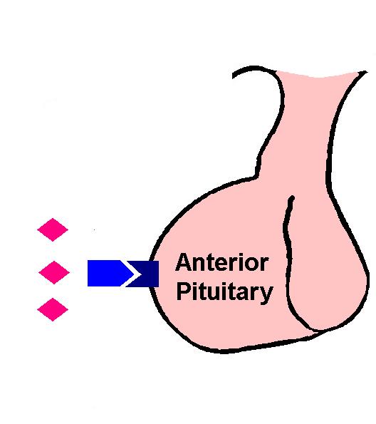 Inhibition of secretion of hepatic IGF-I