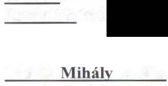 s HATÁR OZA T Békéscsaba Megyei Jogú Város Szlovák Önkormányzata elfogadta a beszámolót a Városvédő és Városszépítő Egyesület és a Fegyveres Erők és Testületek Nyugállományúak Klubja által szervezett