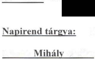 9 Lászik Mihály elnök: Kérte a képviselőket, hogy hozzanak határozatot arról, hogy megjelentetik a Békéscsaba Szlovákságáért'' kitüntetési felhívást. 82/217. (X. 17.