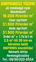 Tel: Németbányán 202 m2-es ház eladó. Irányár: 36 M Ft. Tel: Tókertben található ez a felújításra szoruló 70 m2 alapterületű családi ház, keskeny kapubejáróval. Irányár: 7 M Ft. Tel: Belvárosi 1.