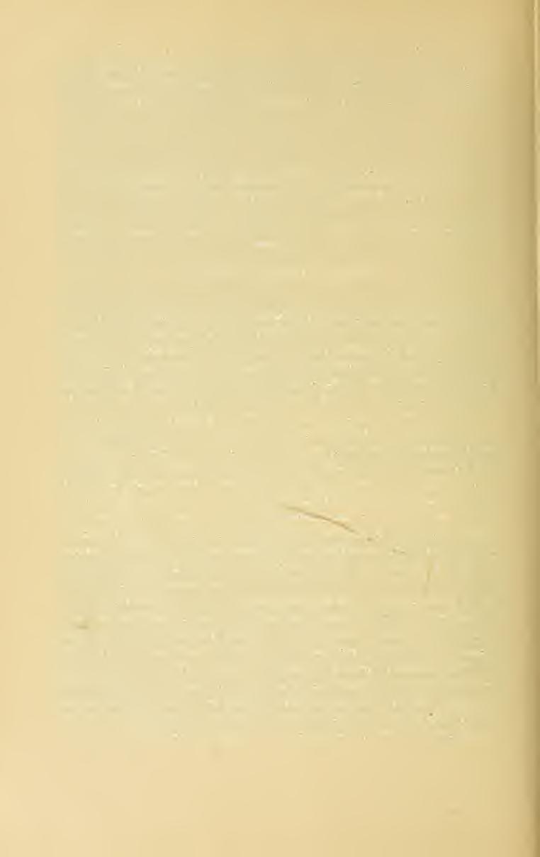 40 Ab E. luriuicrd, Fieb., cui at'ünis videtur, pronoto pone foveas couares band piloso et ciliato, bemelytris siibtihssime pmictulatis tibiisque anticis baud sulcatis certe divergit. Ab E. sinica, Stal.