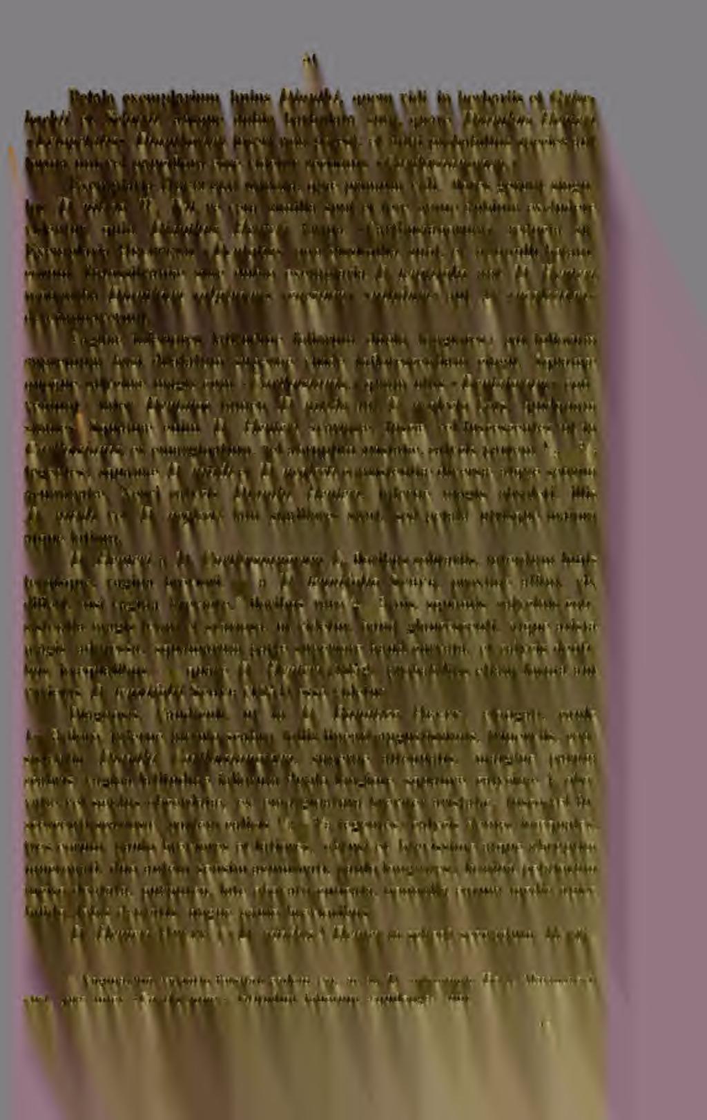 51 Petala exemplarium huius Dianthi, quem vidi in herbariis et Grisebachii et Schurii, absque dubio barbulata sunt, quare TJiantkm Henteri «Leiopetalis» Dianthorum inseii non potest, et mihi