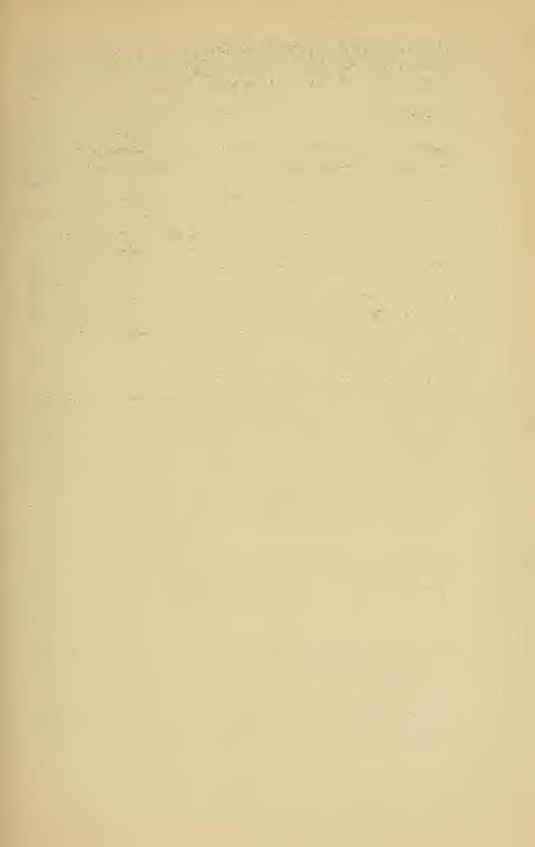 1-ony = Neppendorf) IJ. iiiçfununi^ D'Uvv., et in pratis planis inter Tollán et Eozsnyó, nee non ad Besztercze {D. Carthvsifoiorum var. fhitior KoTscHY exsicc!) ereseit. Etiam D.